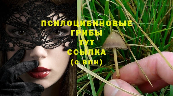 стаф Верея