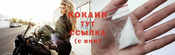 стаф Верея