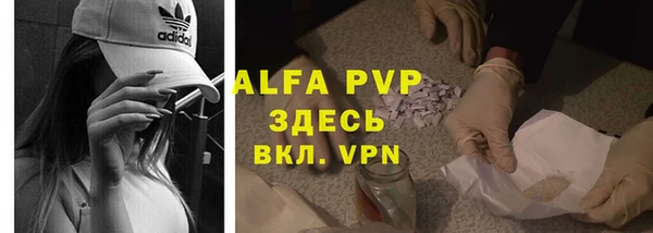 стаф Верея
