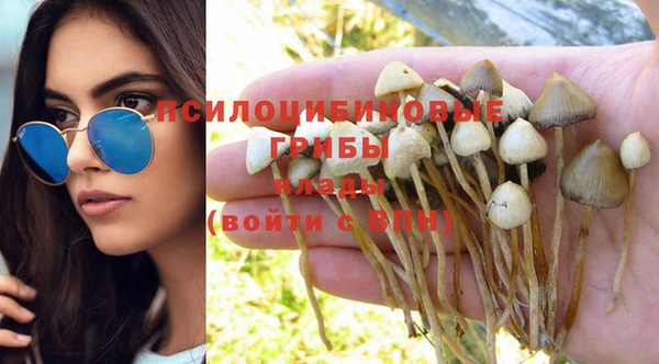 стаф Верея
