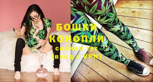 прущие грибы Верхнеуральск