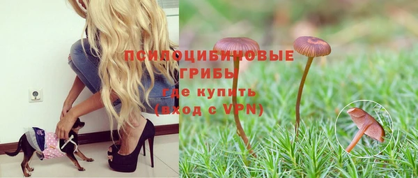 хмурый Волоколамск