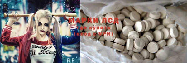 прущие грибы Верхнеуральск