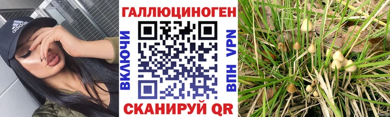 Купить закладки  Архангельск  Псилоцибиновые грибы MAGIC MUSHROOMS 